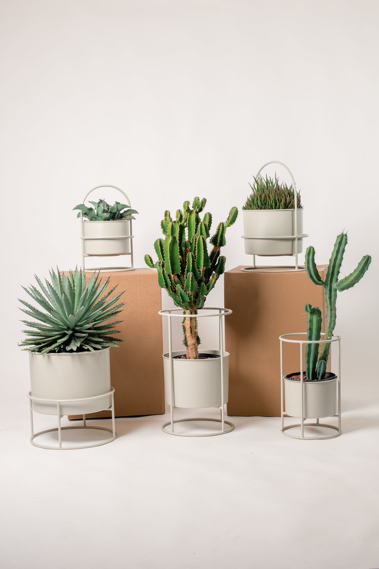 Macetero Alfredo grande