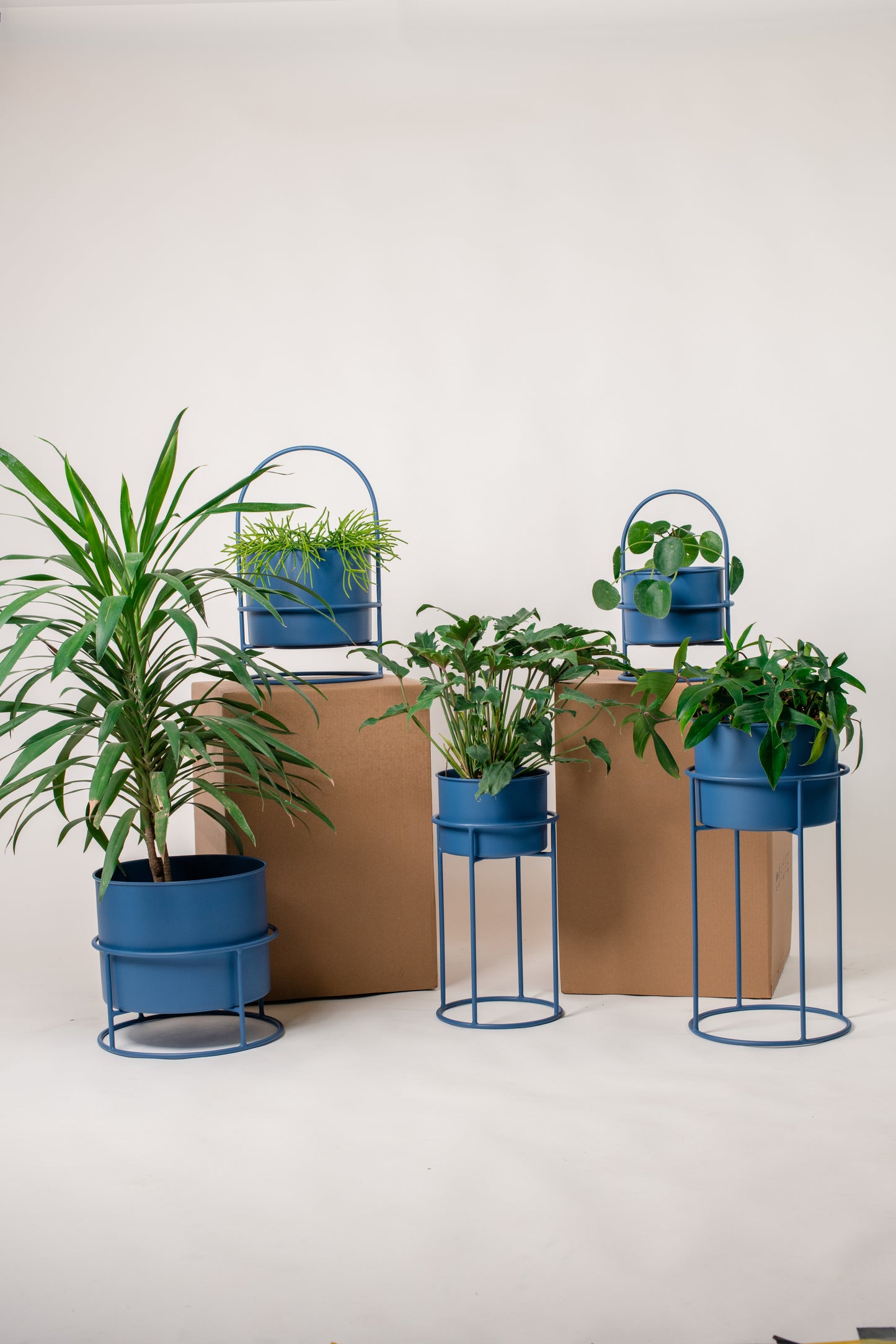 Macetero Alfredo grande