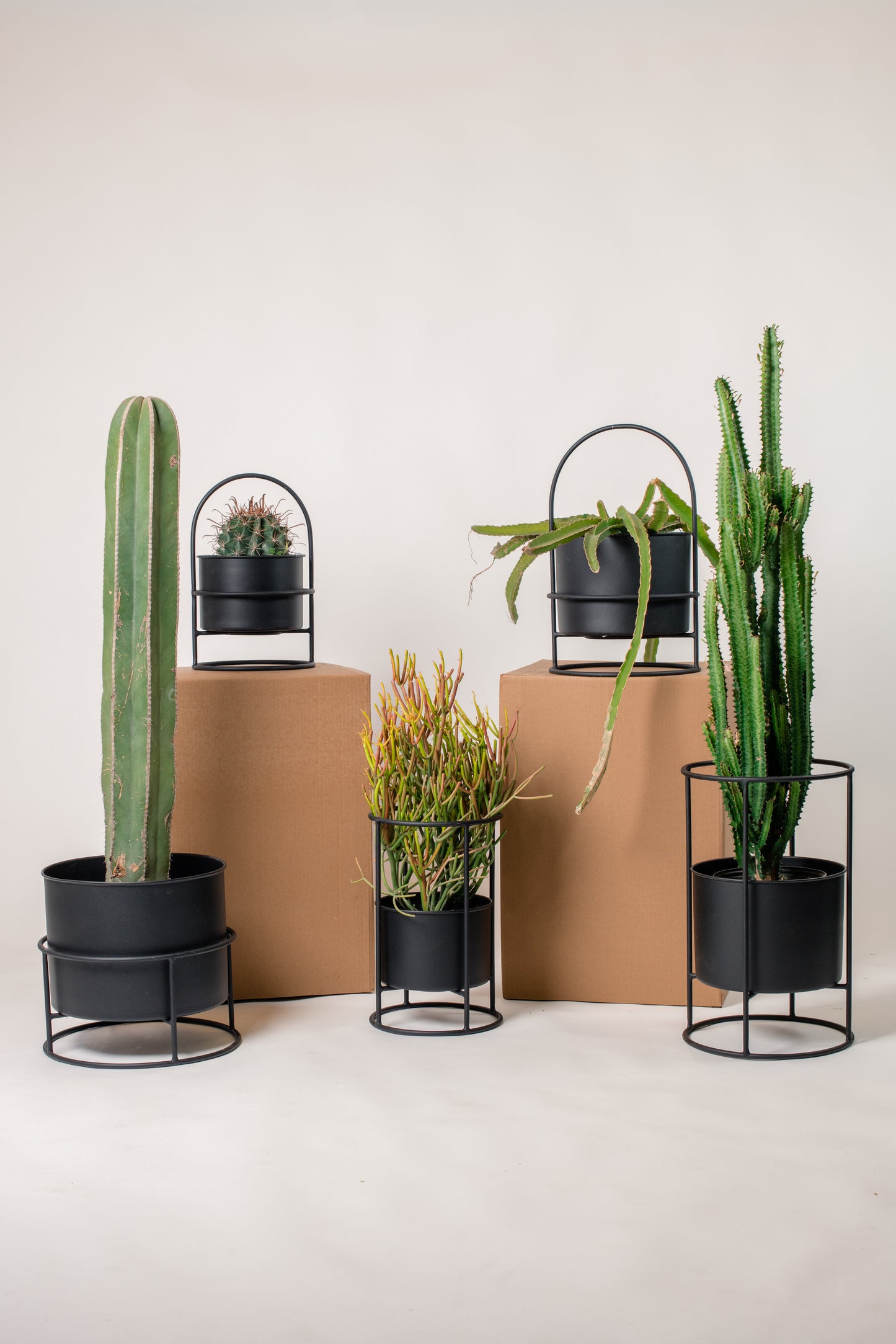 Macetero Alfredo grande