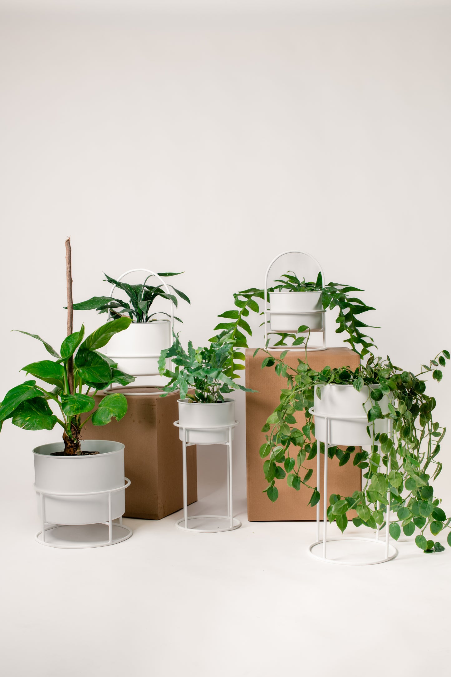 Macetero Alfredo grande